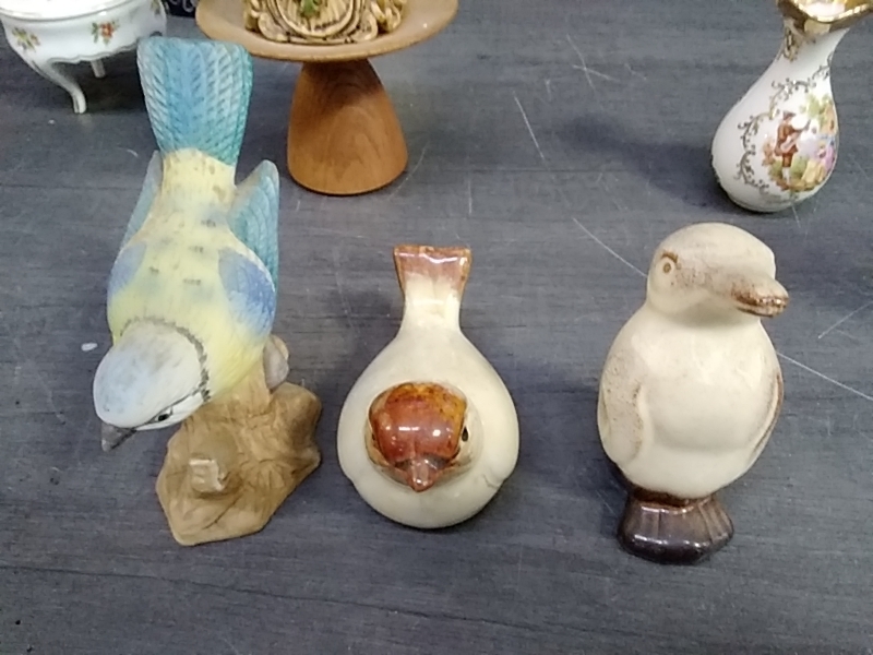 OISEAU 