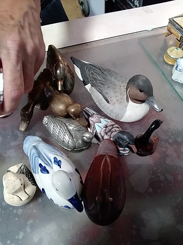 CANARD 