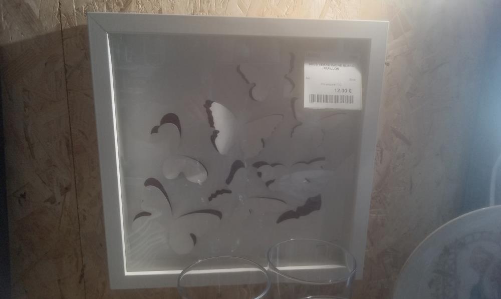 SOUS VERRE CADRE BLANC PAPILLON