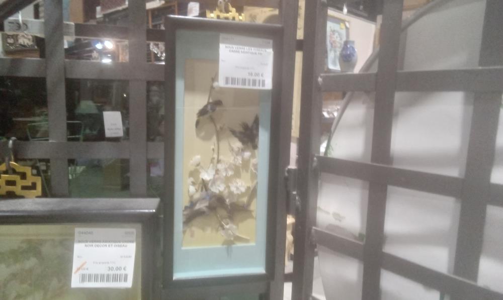 SOUS VERRE LES OISEAUX CADRE ASIATIQUE PM