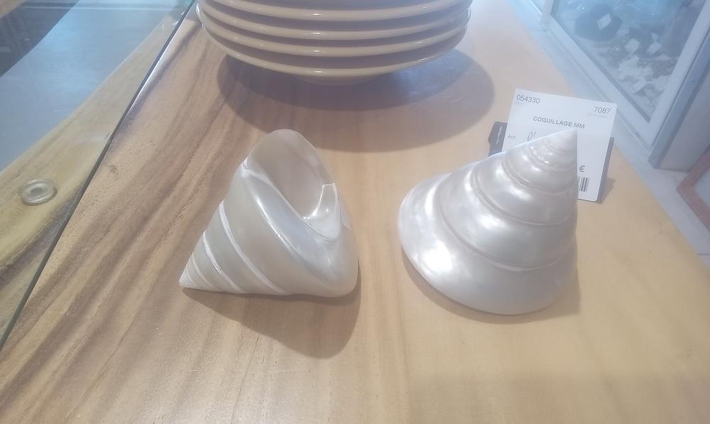 COQUILLAGE MM