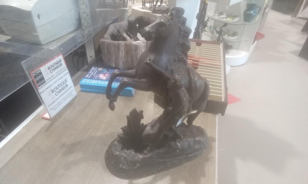 GROUPE CHEVAL+HOMME REGULE