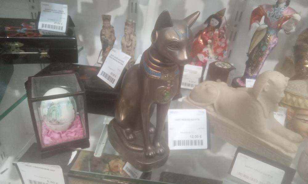 CHAT RESINE EGYPTE