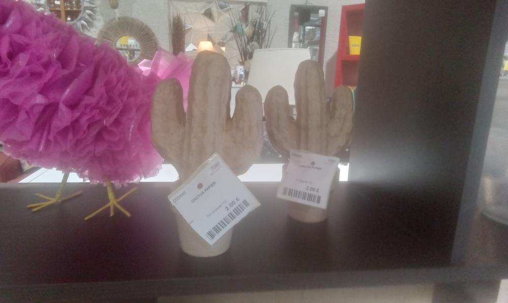 CACTUS PAPIER