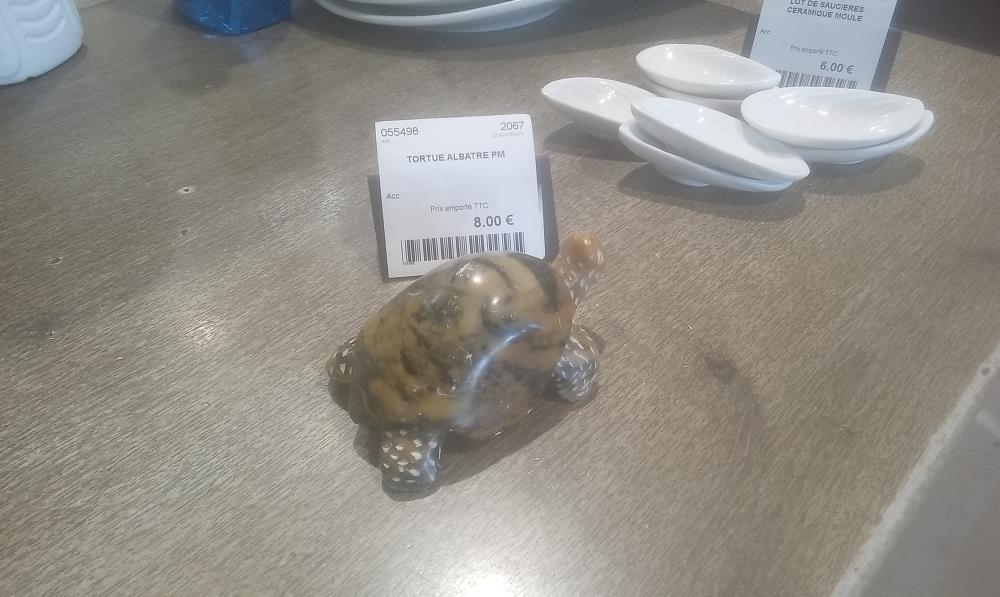 TORTUE ALBATRE PM
