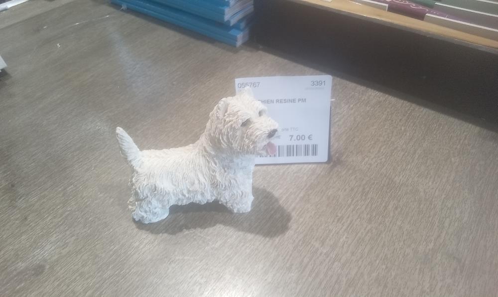 CHIEN RESINE PM