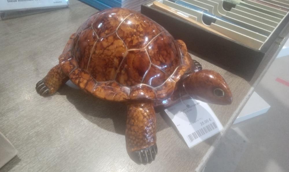 TORTUE EN 2 PARTIES EN L'ETAT