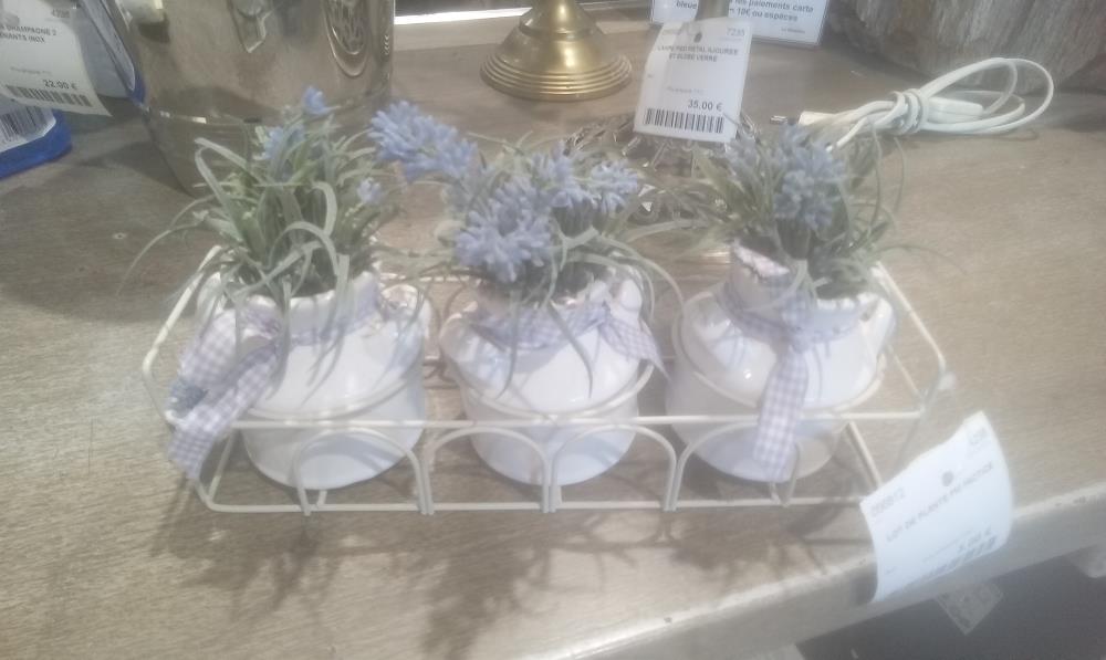 LOT DE PLANTE PM FACTICE