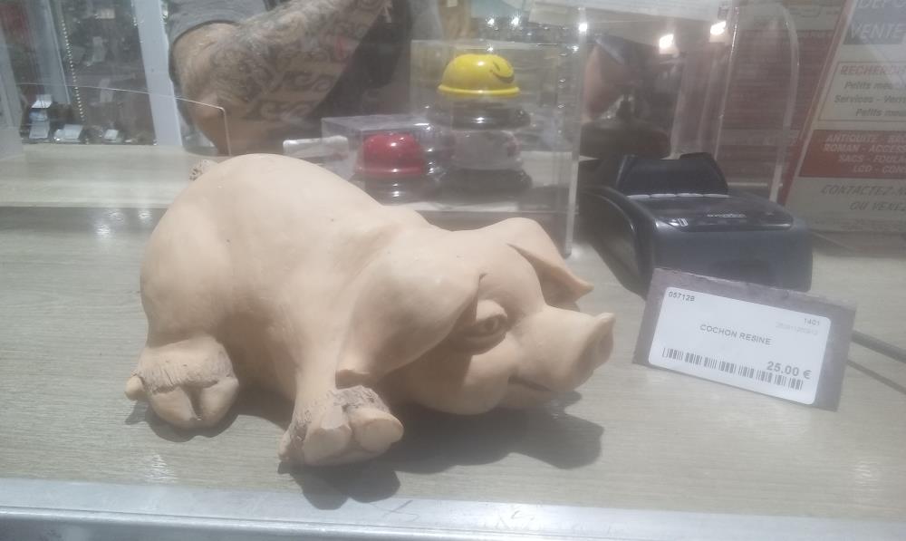 COCHON RESINE