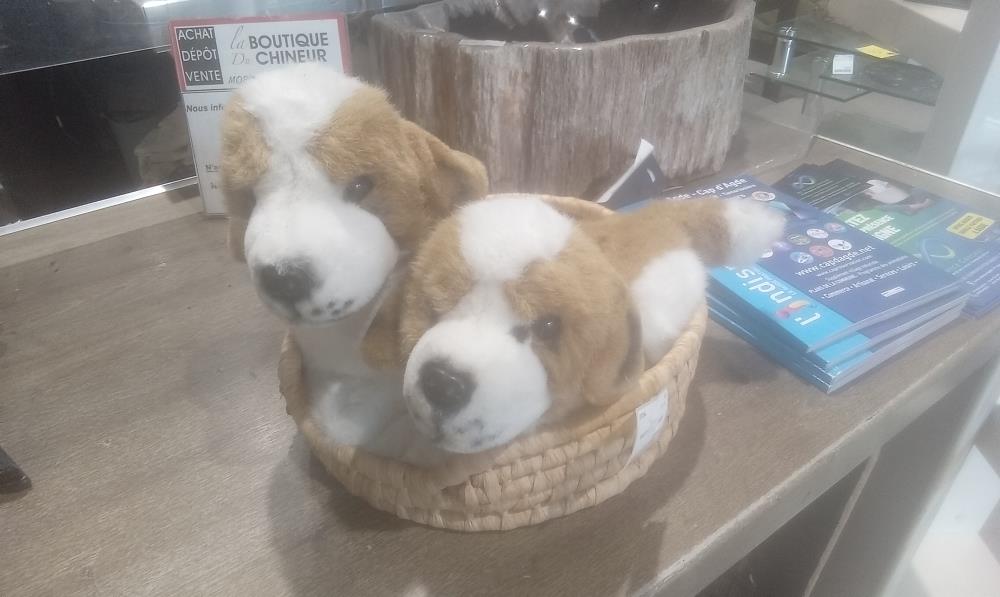PAIRE DE CHIEN DANS PANIER