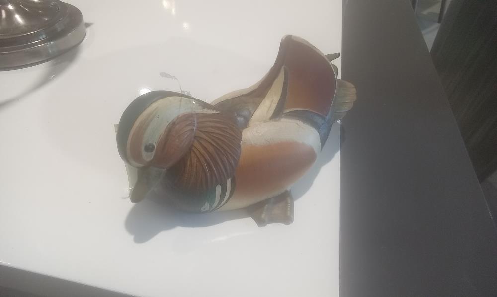 CANARD PM PIED LAITON