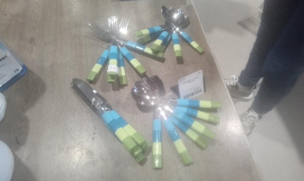 MENAGERE 24 PIECES COULEUR