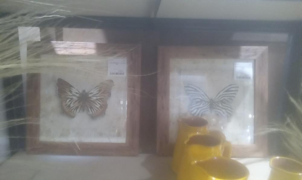 SOUS VERRE PAPILLON CADRE BOIS