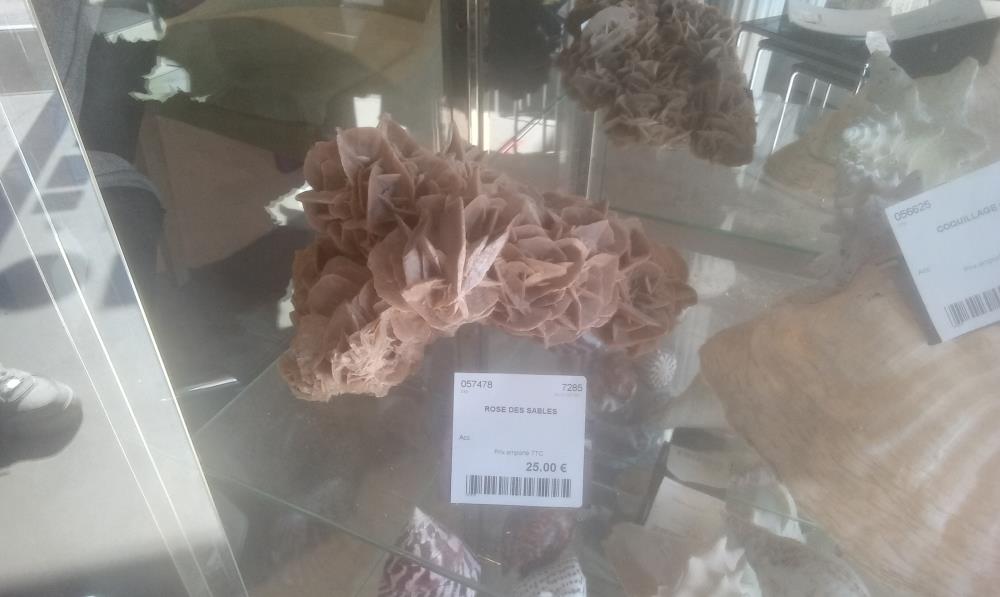 ROSE DES SABLES