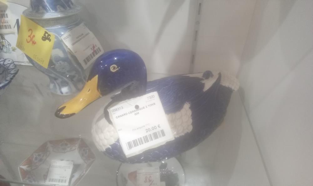 CANARD CERAMIQUE 2 TONS GM