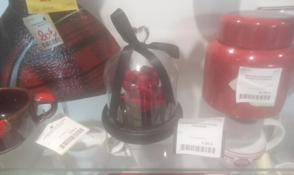 ROSE SOUS CLOCHE AVEC GUIRLANDE