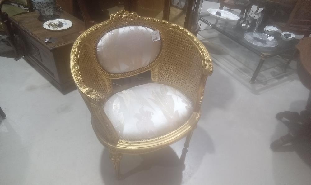 FAUTEUIL DORE CANNE  GM +ASSISE TISSUS DECOR FLORAL