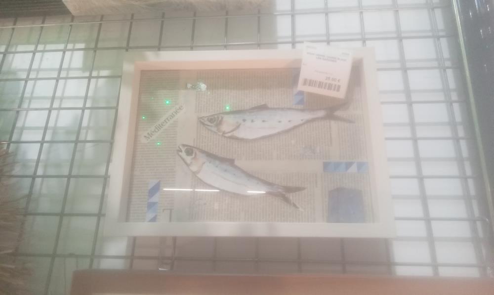 SOUS VERRE  CADRE BLANC LES SARDINES