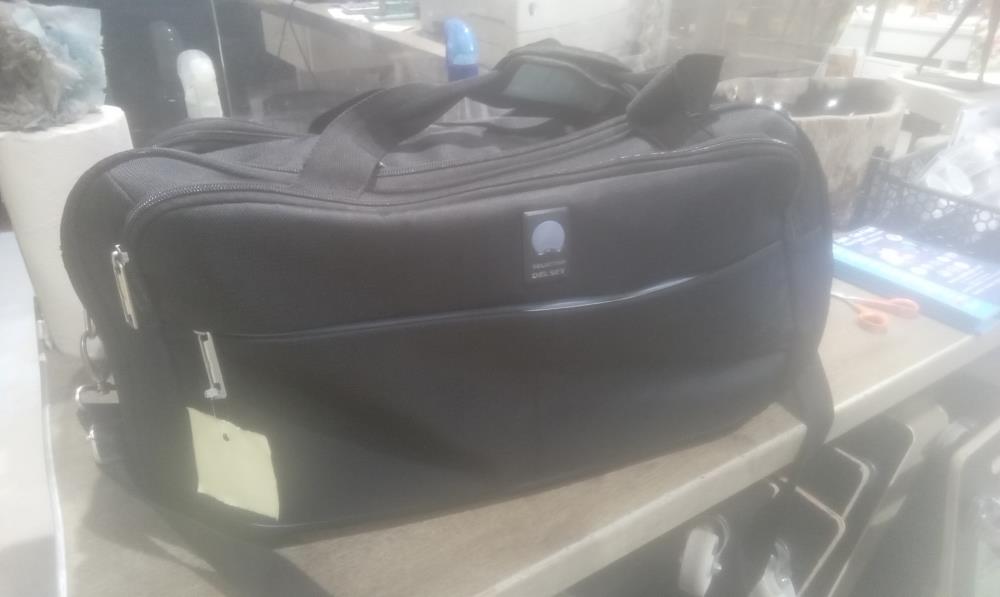 SAC DE VOYAGE DELSEY