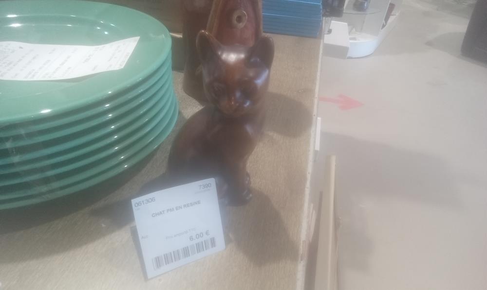 CHAT PM EN RESINE