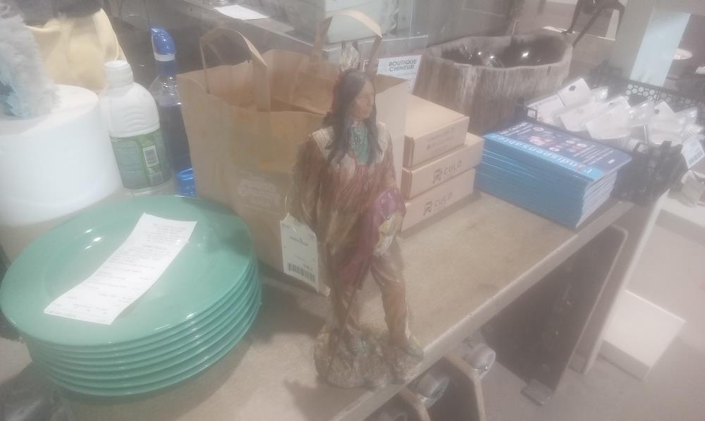 INDIEN EN RESINE