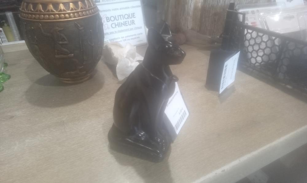 CHAT EN RESINE EGYPTE PM