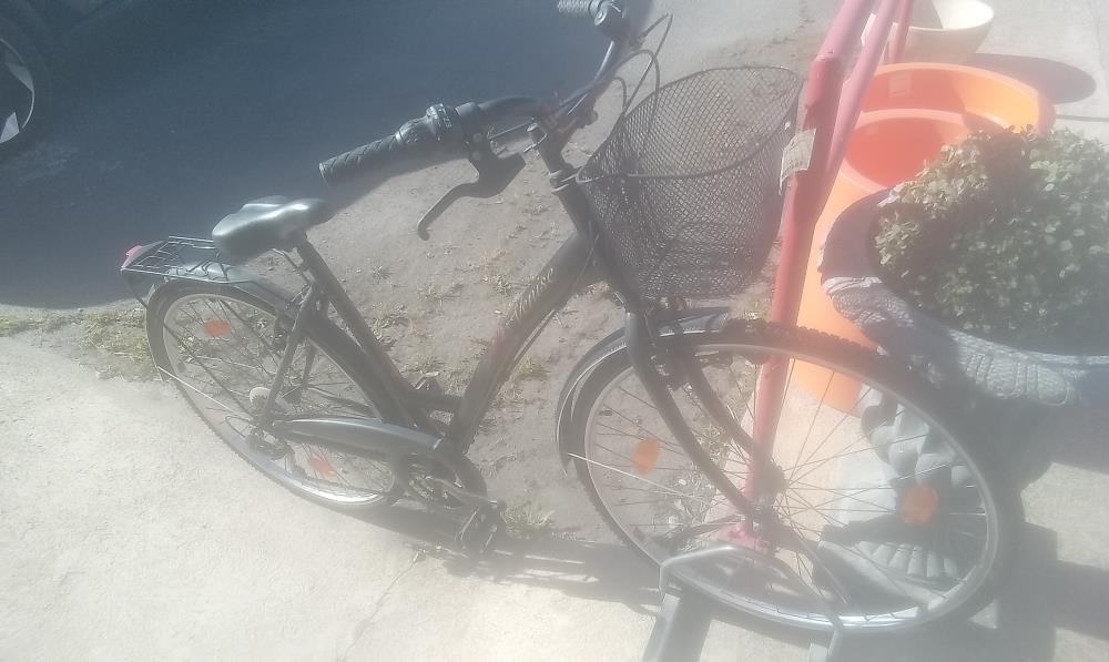 VELO DE VILLE  VENISE FEMME+PANIER