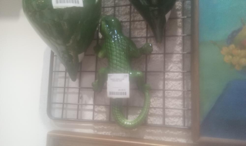 LEZARD TERRE CUTE VERNISSE VERT