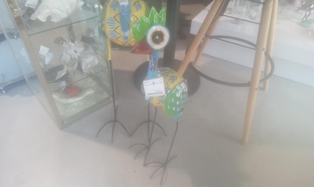 OISEAU SUR PIED MULITCLORE PM