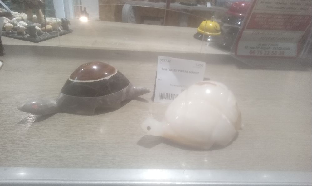 TORTUE EN PIERRE MAROC