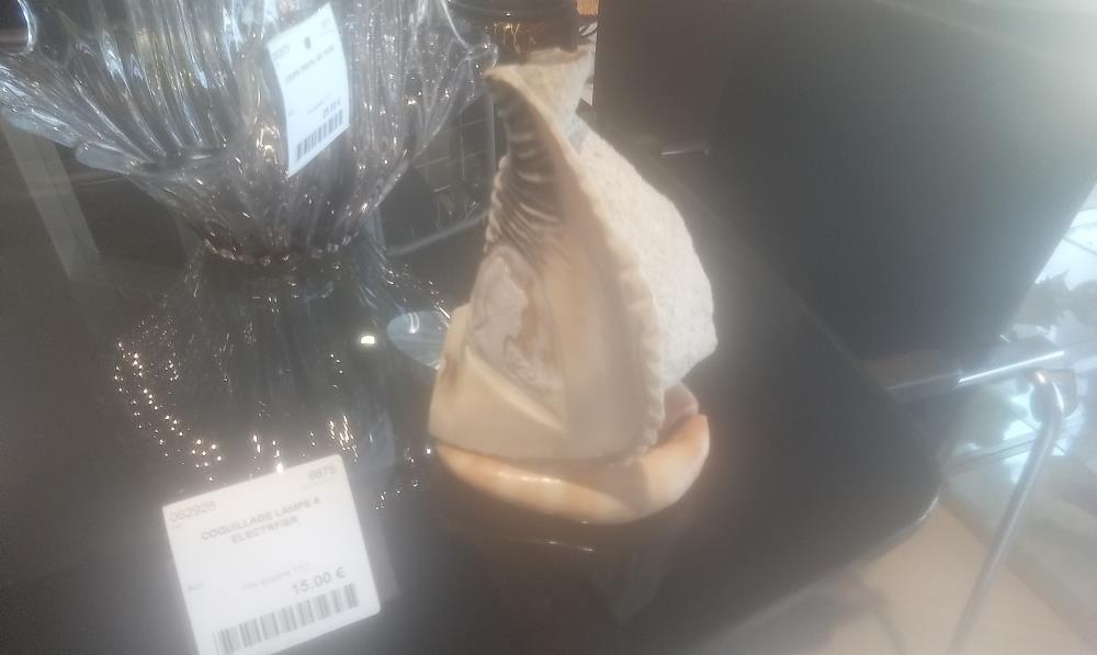 COQUILLAGE LAMPE A ELECTRFIER