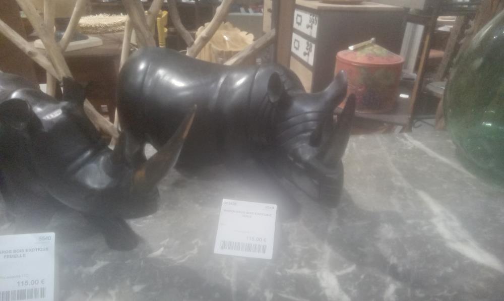 RHINOCEROS BOIS EXOTIQUE MALE