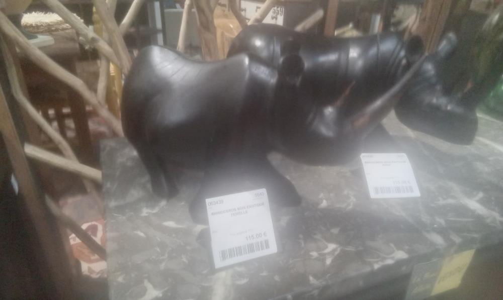 RHINOCEROS BOIS EXOTIQUE FEMELLE