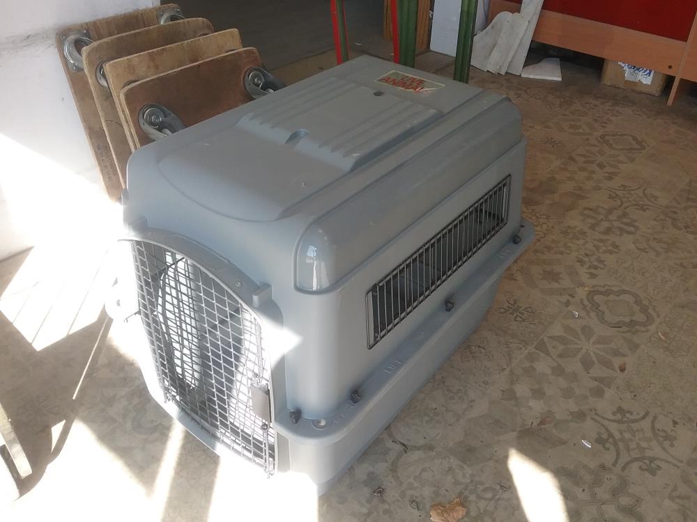 CAISSE TRANSPORT CHIEN