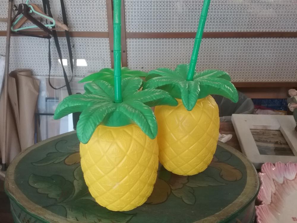 ANANAS PLASTIQUE 