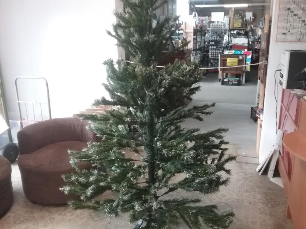 SAPIN 2M AVEC PIED