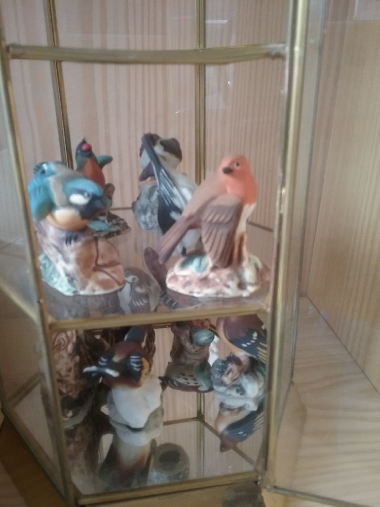 OISEAU BISCUIT