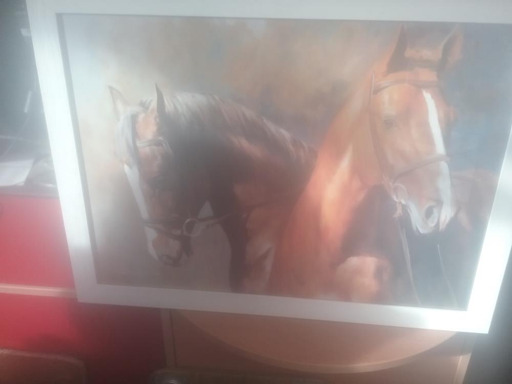 CADRE CHEVAL BLANC 