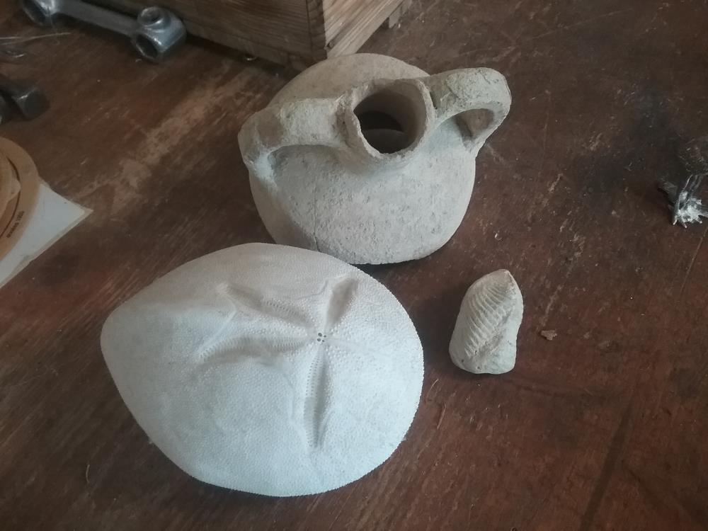 3 OBJETS FOSSILES ETC