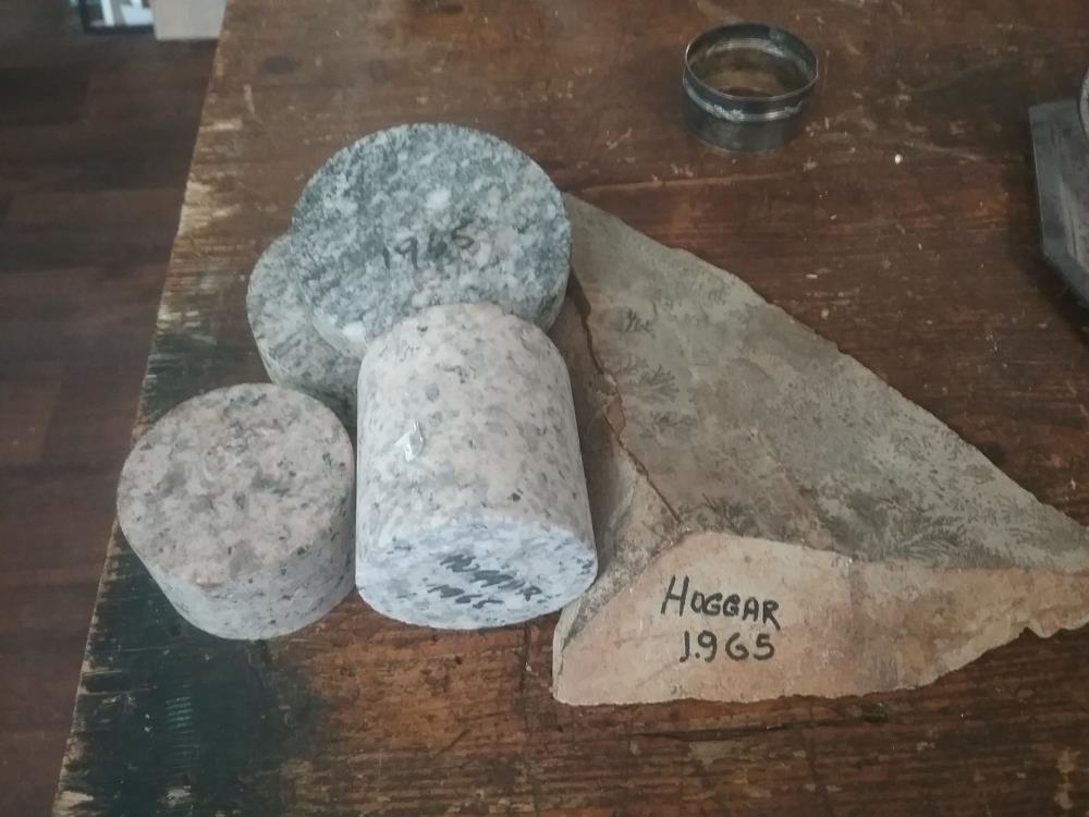 LOT FOSSILES ET CARROTAGES HOGGAR