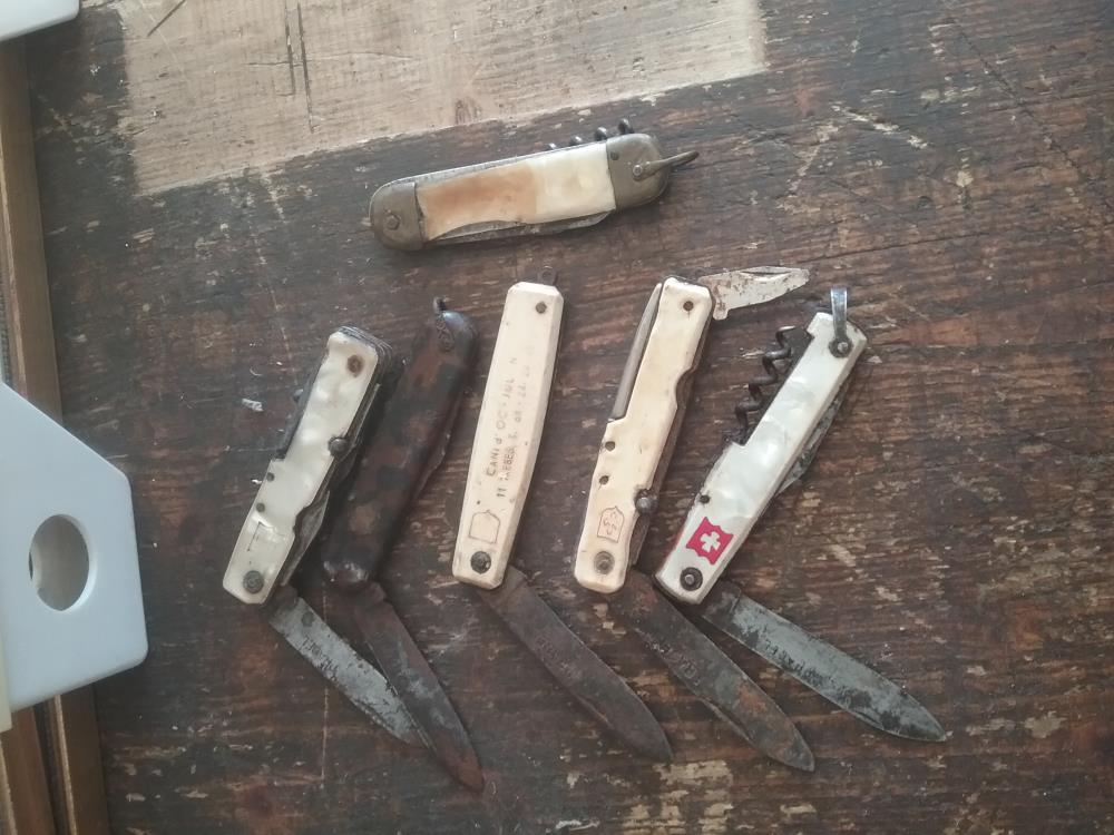 LOT COUTEAUX PRADEL