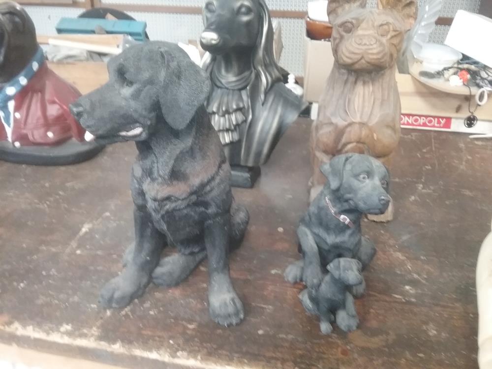 CHIEN RESINE