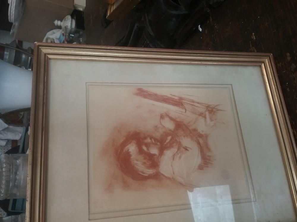 SANGUINE ENFANT