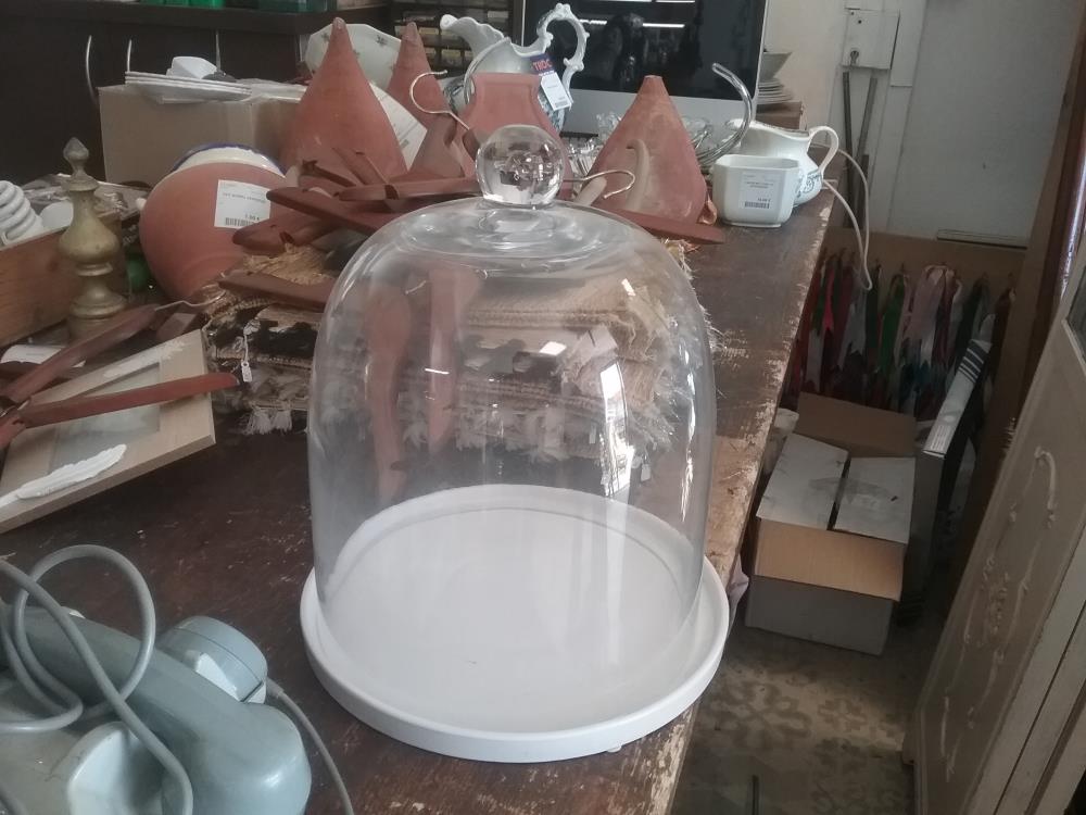 CLOCHE VERRE ET SUPPORT