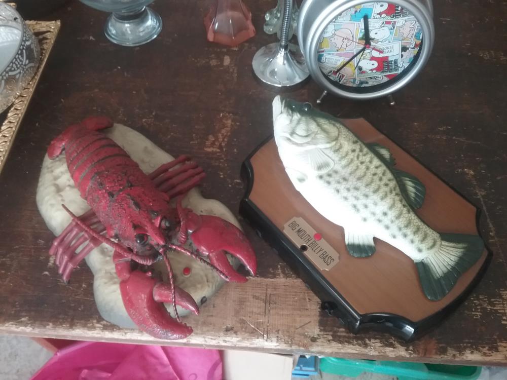 HOMARD ET POISSON MUSICAL EN L'ETAT