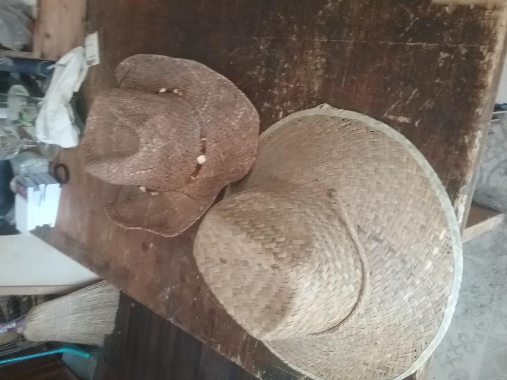 CHAPEAU DE PAILLE