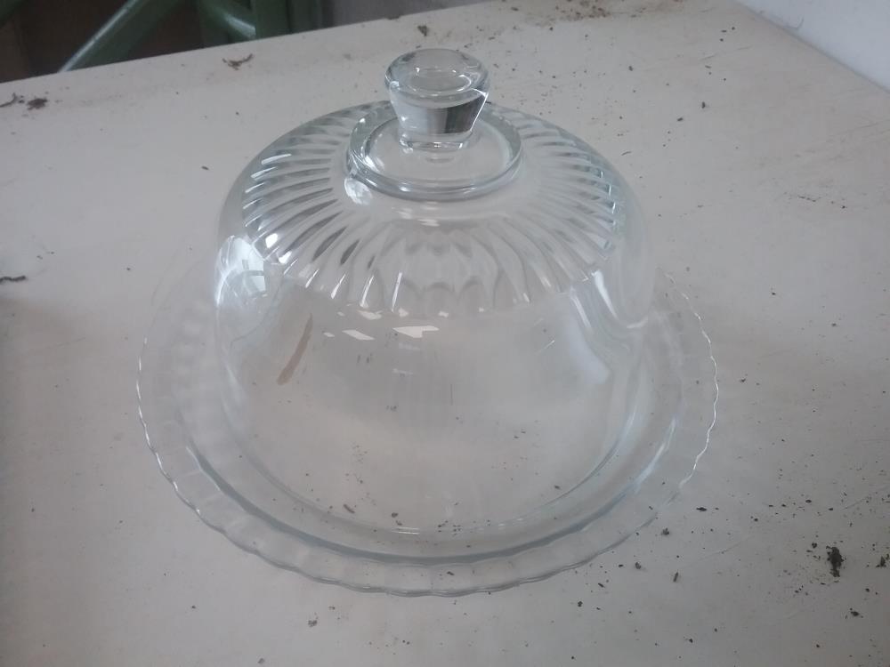 CLOCHE A FROMAGE
