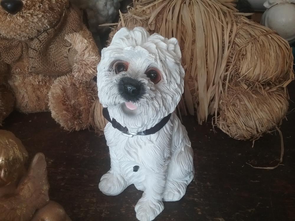PETIT CHIEN BLANC