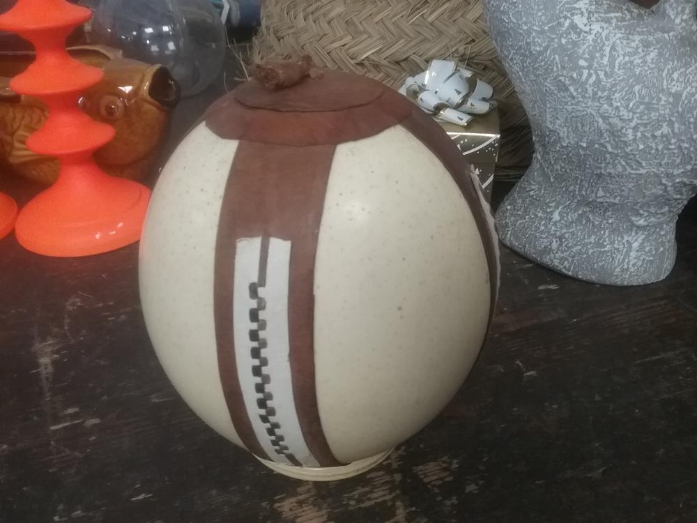 OEUF DAUTRUCHE
