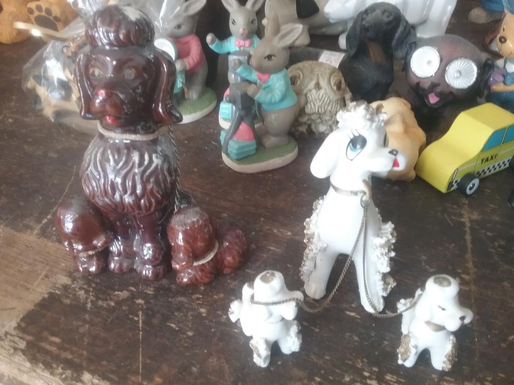 CHIEN ET PETITS
